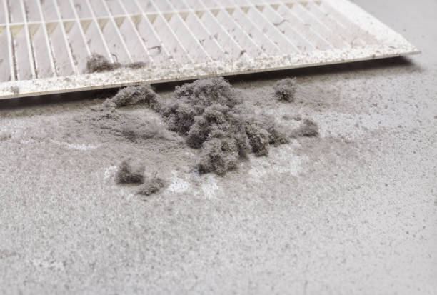 Best Professional Duct Cleaning Services  in Neffs, OH