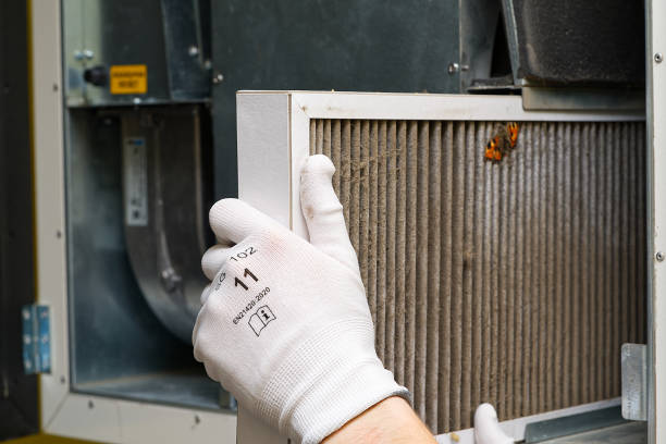 Best Ductwork Cleaning Services  in Neffs, OH