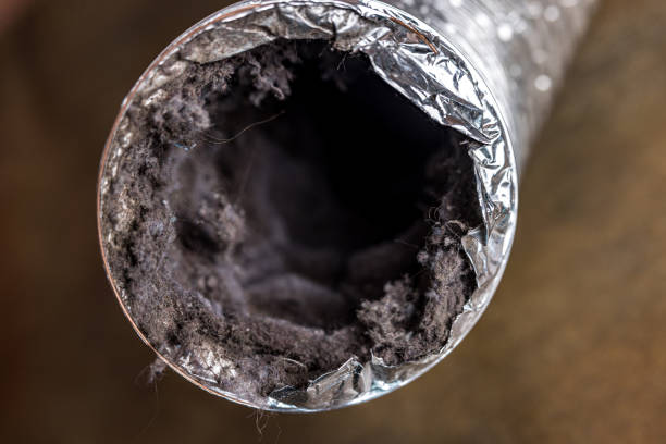 Best Air Duct Cleaning Near Me  in Neffs, OH